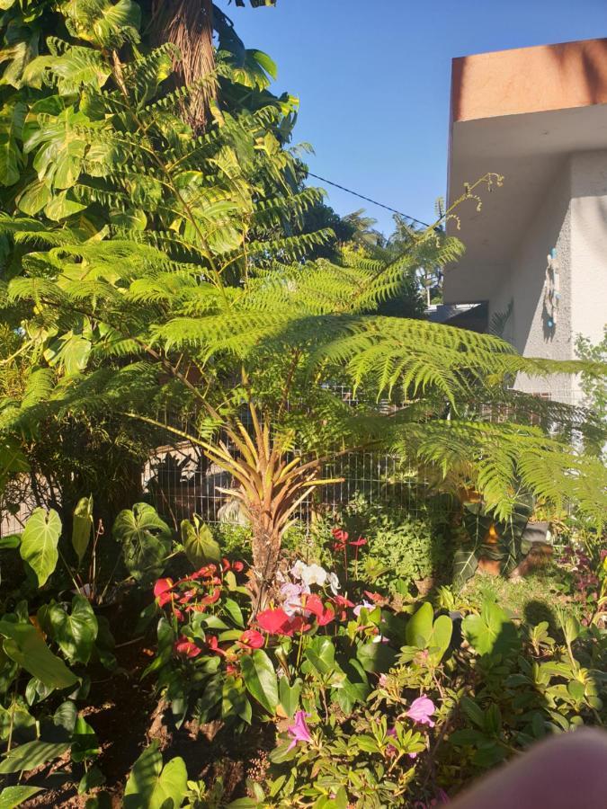 Couleurs Des Iles Apartment เลอ ตอมปง ภายนอก รูปภาพ